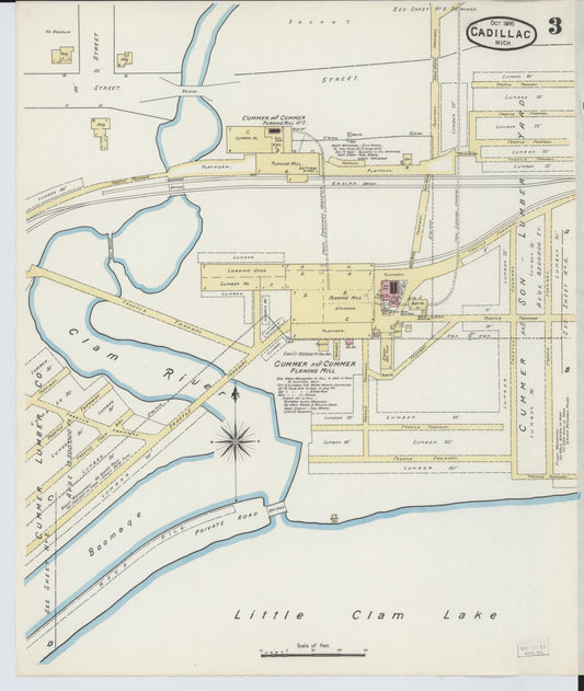 Sanborn Fire Insurance Map from Cadillac, Wexford County, Michigan (1890), Sheet #0003 - Historic Sanborn Fire Insurance Map Print, vintage old map wall art, antique decor, genealogy gift, Michigan Michigan map