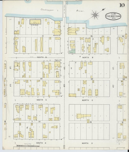Sanborn Fire Insurance Map from Cheboygan, Cheboygan County, Michigan (1895), Sheet #0010 - Complete Map Set gallery image, historic Sanborn map, vintage wall art, Michigan Michigan