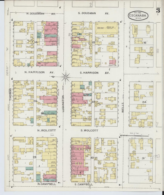 Sanborn Fire Insurance Map from Escanaba, Delta County, Michigan (1893), Sheet #0003 - Historic Sanborn Fire Insurance Map Print, vintage old map wall art, antique decor, genealogy gift, Michigan Michigan map