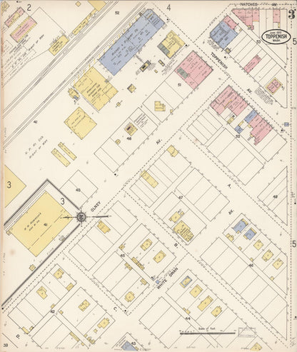 Sanborn Fire Insurance Map from Toppenish, Yakima County, Washington (1910), Sheet #0003 - Complete Map Set gallery image, historic Sanborn map, vintage wall art, Washington Washington