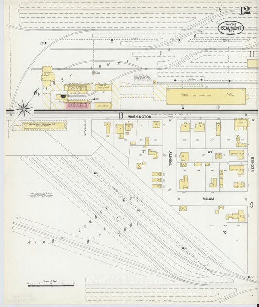 Sanborn Fire Insurance Map from Beaumont, Jefferson County, Texas (1902), Sheet #0012 - Historic Sanborn Fire Insurance Map Print, vintage old map wall art, antique decor, genealogy gift, Texas Texas map