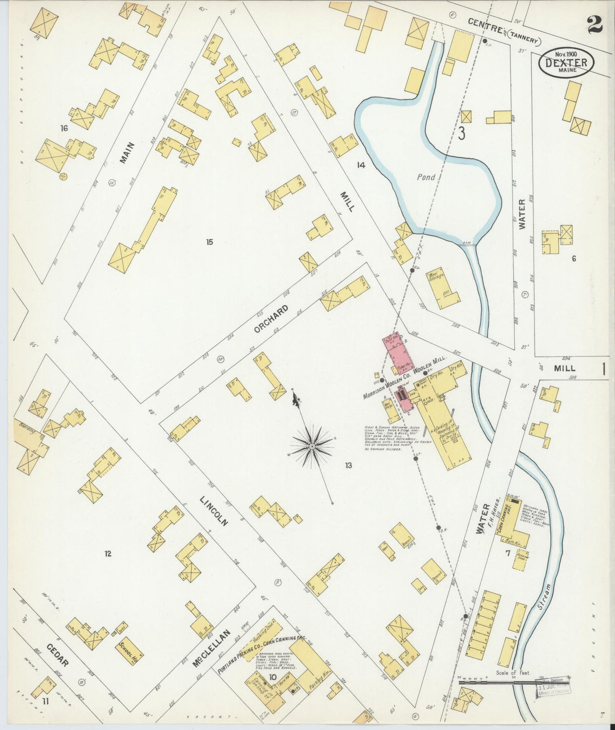 Sanborn Fire Insurance Map from Dexter, Penobscot County, Maine (1900), Sheet #0002 - Complete Map Set gallery image, historic Sanborn map, vintage wall art, Maine Maine