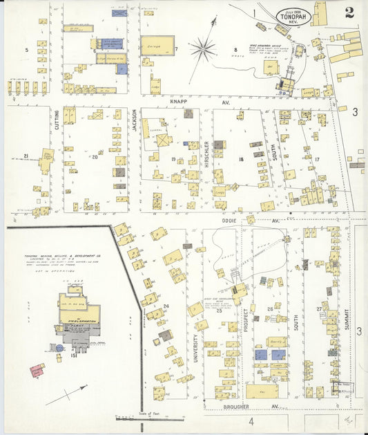 Sanborn Fire Insurance Map from Tonopah, Nye County, Nevada (1909), Sheet #0002 - Historic Sanborn Fire Insurance Map Print, vintage old map wall art, antique decor, genealogy gift, Nevada Nevada map