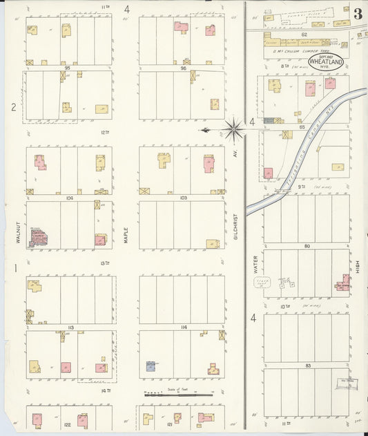 Sanborn Fire Insurance Map from Wheatland, Platte County, Wyoming (1907), Sheet #0003 - Historic Sanborn Fire Insurance Map Print, vintage old map wall art, antique decor, genealogy gift, Wyoming Wyoming map