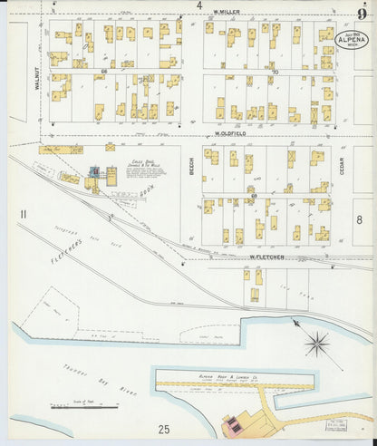 Sanborn Fire Insurance Map from Alpena, Alpena County, Michigan (1901), Sheet #0009 - Historic Sanborn Fire Insurance Map Print, vintage old map wall art, antique decor, genealogy gift, Michigan Michigan map