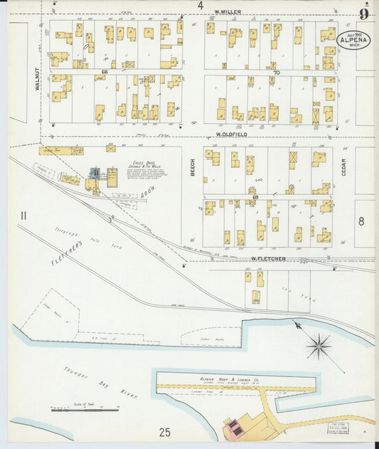 Sanborn Fire Insurance Map from Alpena, Alpena County, Michigan (1901), Sheet #0009 - Historic Sanborn Fire Insurance Map Print, vintage old map wall art, antique decor, genealogy gift, Michigan Michigan map