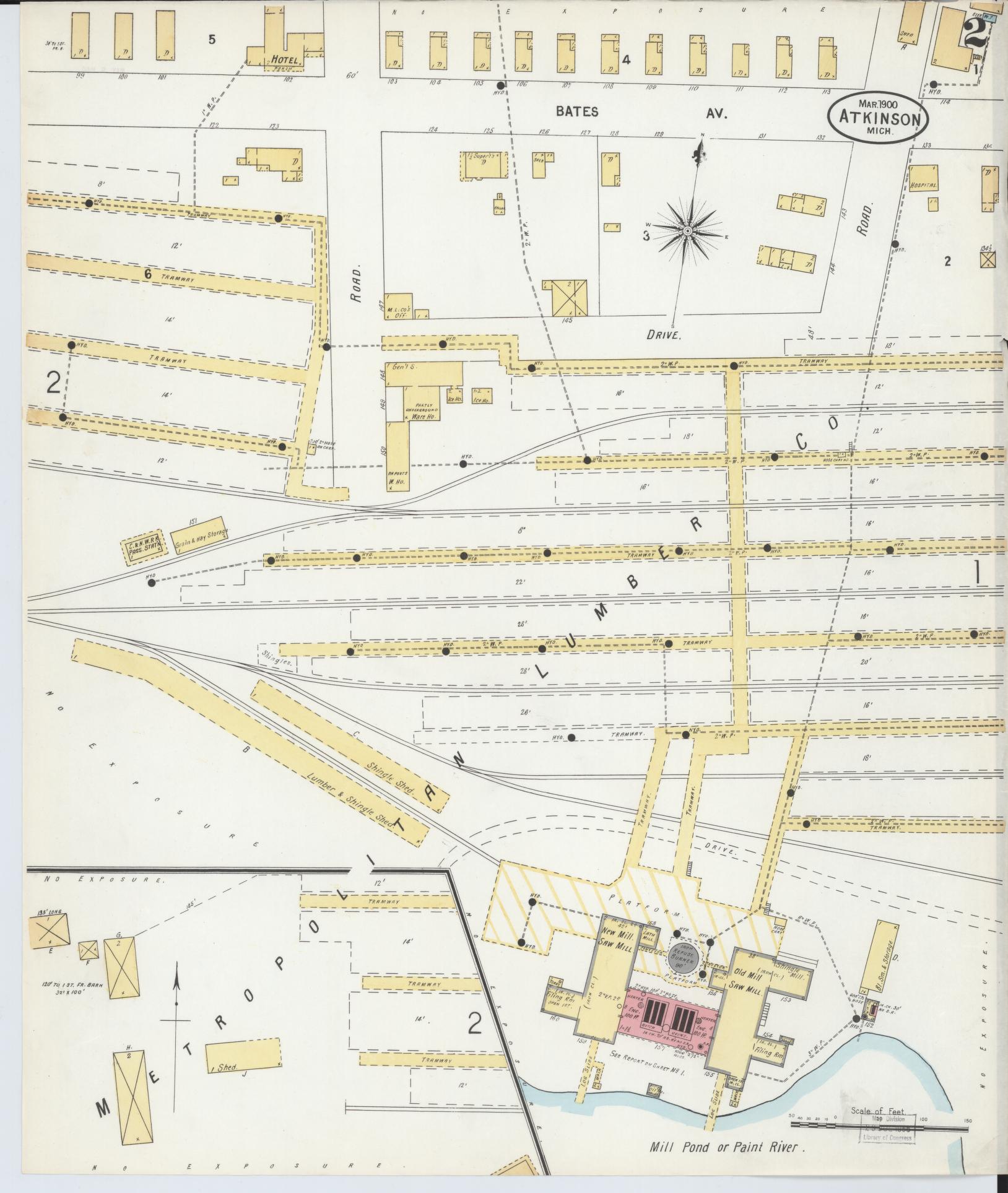 Sanborn Fire Insurance Map from Atkinson, Iron County, Michigan (1900), Sheet #0002 - Historic Sanborn Fire Insurance Map Print, vintage old map wall art, antique decor, genealogy gift, Michigan Michigan map