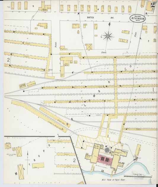 Sanborn Fire Insurance Map from Atkinson, Iron County, Michigan (1900), Sheet #0002 - Historic Sanborn Fire Insurance Map Print, vintage old map wall art, antique decor, genealogy gift, Michigan Michigan map