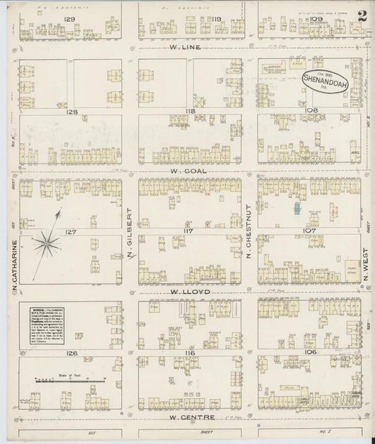 Sanborn Fire Insurance Map from Shenandoah, Schuylkill County, Pennsylvania (1885), Sheet #0002 - Historic Sanborn Fire Insurance Map Print, vintage old map wall art, antique decor, genealogy gift, Pennsylvania Pennsylvania map