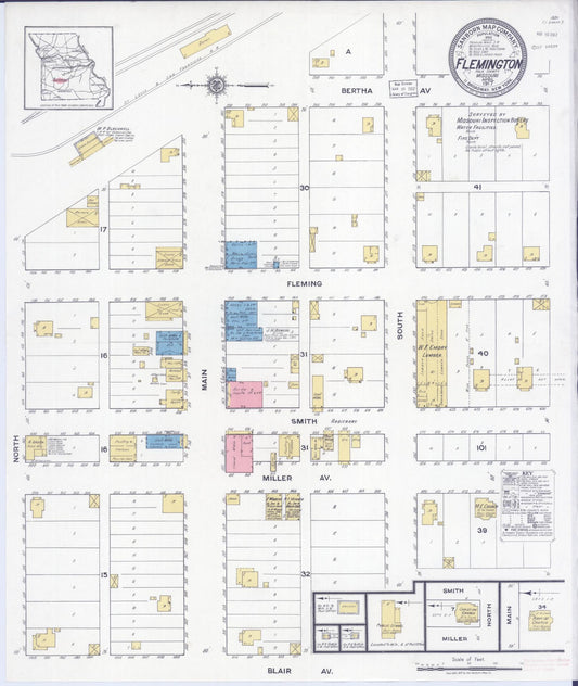 Sanborn Fire Insurance Map from Flemington, Polk County, Missouri (1917), Sheet #0001 - Historic Sanborn Fire Insurance Map Print, vintage old map wall art, antique decor, genealogy gift, Missouri Missouri map