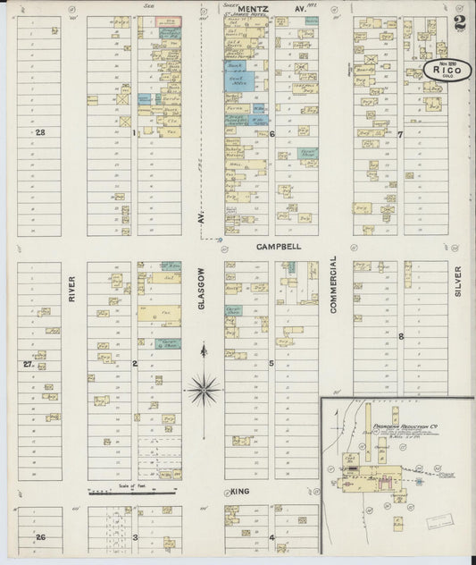 Sanborn Fire Insurance Map from Rico, Dolores County, Colorado (1890), Sheet #0002 - Historic Sanborn Fire Insurance Map Print, vintage old map wall art, antique decor, genealogy gift, Colorado Colorado map
