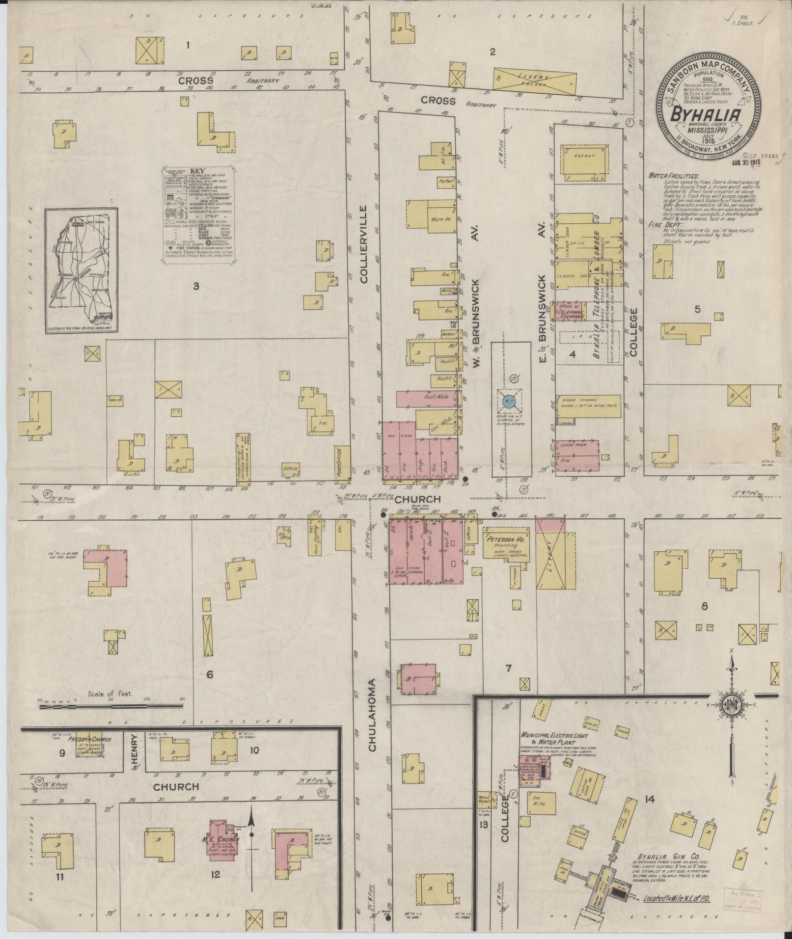 Sanborn Fire Insurance Map from Byhalia, Marshall County, Mississippi (1915), Sheet #0001 - Historic Sanborn Fire Insurance Map Print, vintage old map wall art, antique decor, genealogy gift, Mississippi Mississippi map