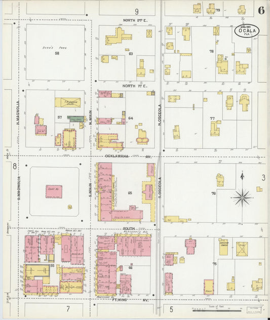 Sanborn Fire Insurance Map from Ocala, Marion County, Florida (1901), Sheet #0006 - Historic Sanborn Fire Insurance Map Print, vintage old map wall art, antique decor, genealogy gift, Florida Florida map