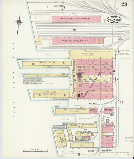 Sanborn Fire Insurance Map from Wilmington, New Hanover County, North Carolina (1910), Sheet #0028 - Historic Sanborn Fire Insurance Map Print, vintage old map wall art, antique decor, genealogy gift, North Carolina North Carolina map