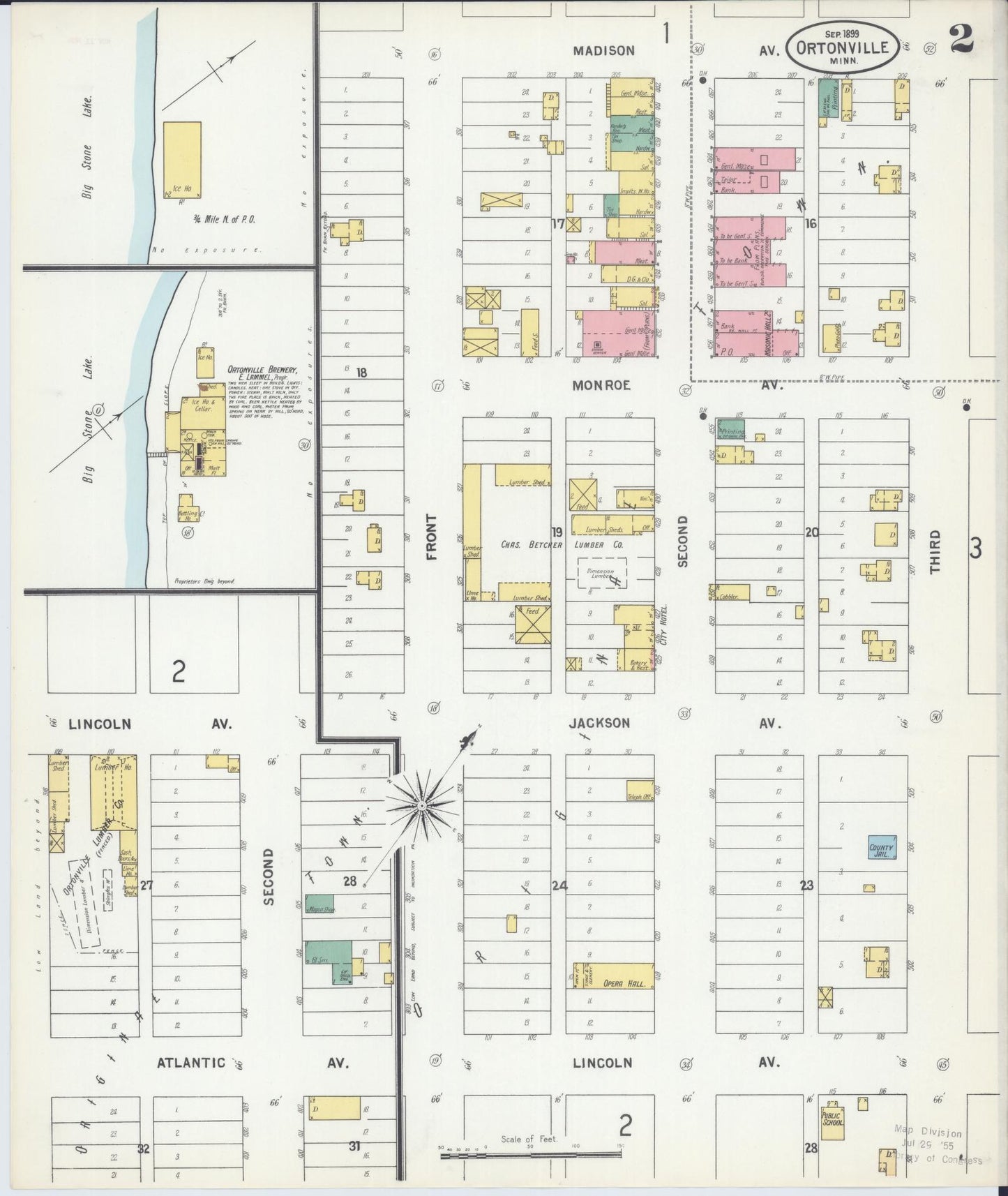 Sanborn Fire Insurance Map from Ortonville, Big Stone County, Minnesota (1899), Sheet #0002 - Historic Sanborn Fire Insurance Map Print, vintage old map wall art, antique decor, genealogy gift, Minnesota Minnesota map