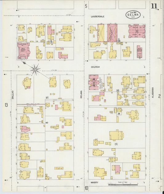 Sanborn Fire Insurance Map from Selma, Dallas County, Alabama (1903), Sheet #0011 - Historic Sanborn Fire Insurance Map Print, vintage old map wall art, antique decor, genealogy gift, Alabama Alabama map