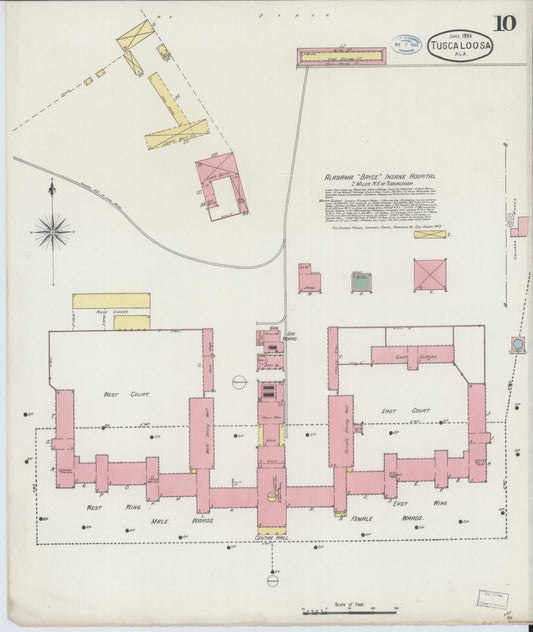 Sanborn Fire Insurance Map from Tuscaloosa, Tuscaloosa County, Alabama (1894), Sheet #0010 - Historic Sanborn Fire Insurance Map Print, vintage old map wall art, antique decor, genealogy gift, Alabama Alabama map