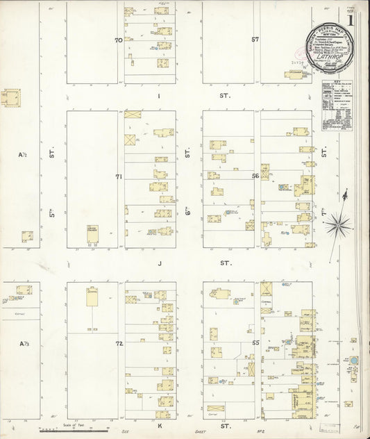 Sanborn Fire Insurance Map from Lathrop, San Joaquin County, California (1891), Sheet #0001 - Historic Sanborn Fire Insurance Map Print, vintage old map wall art, antique decor, genealogy gift, California California map