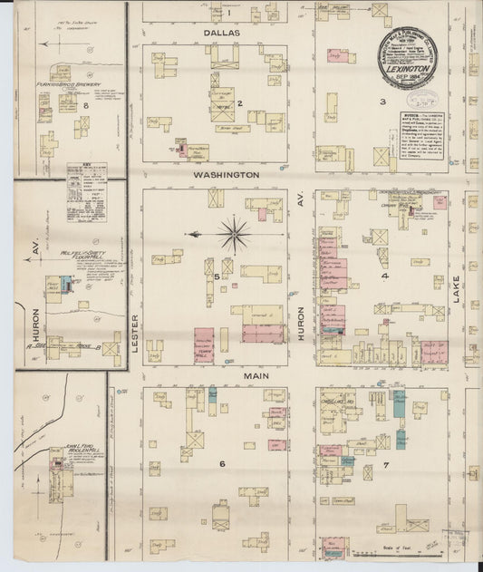 Sanborn Fire Insurance Map from Lexington, Sanilac County, Michigan (1884), Sheet #0001 - Historic Sanborn Fire Insurance Map Print, vintage old map wall art, antique decor, genealogy gift, Michigan Michigan map