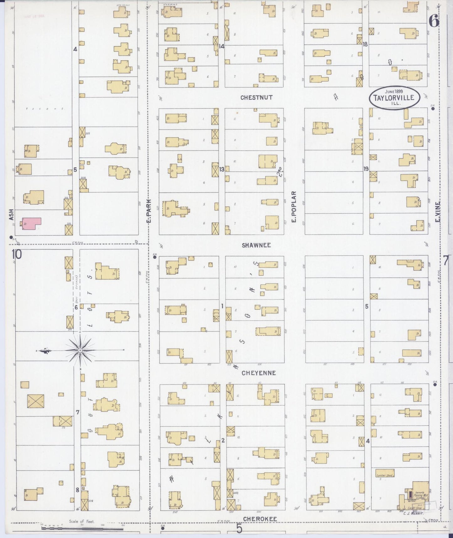 Sanborn Fire Insurance Map from Taylorville, Christian County, Illinois (1899), Sheet #0006 - Complete Map Set gallery image, historic Sanborn map, vintage wall art, Illinois Illinois