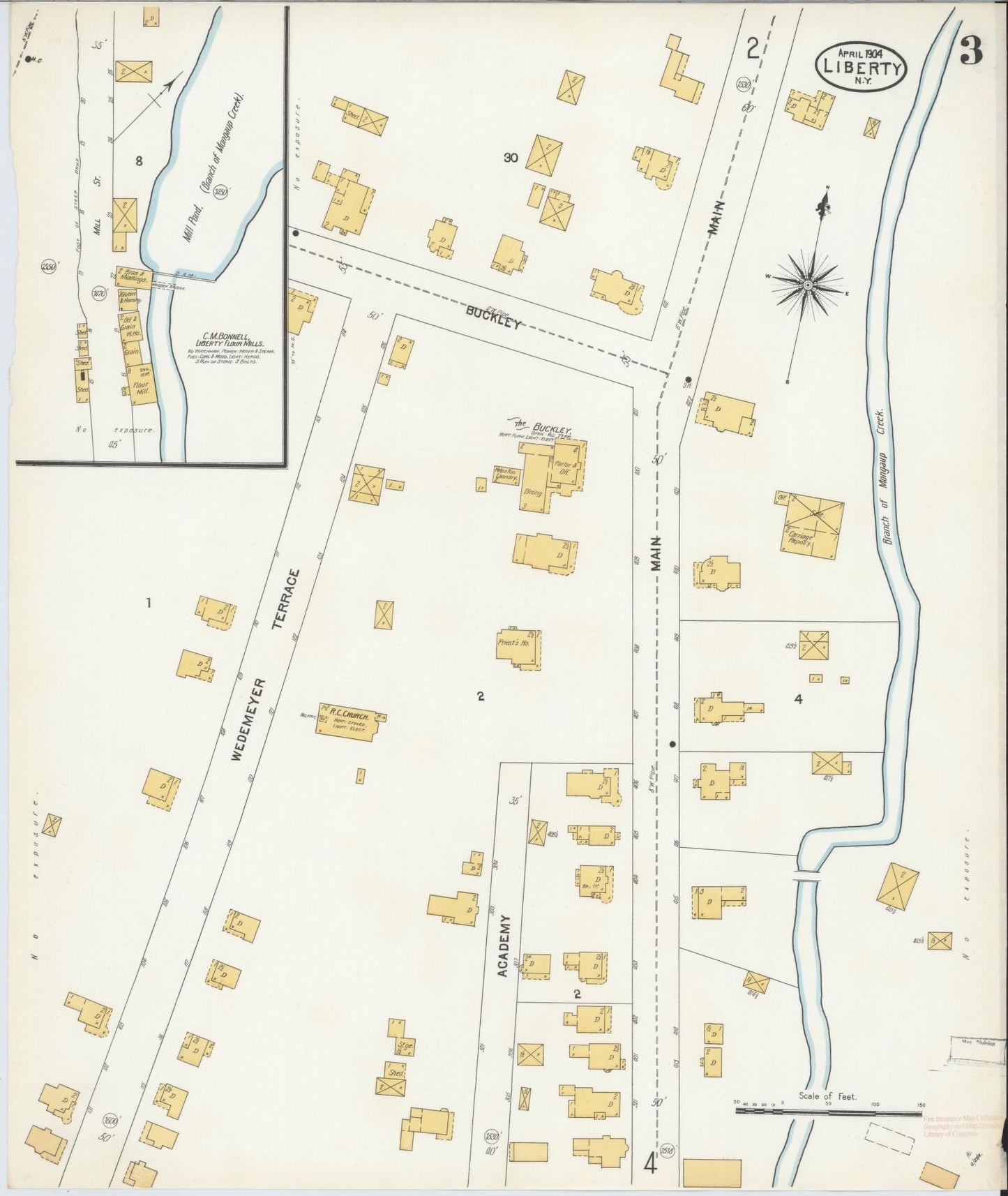 Sanborn Fire Insurance Map from Liberty, Sullivan County, New York (1904), Sheet #0003 - Historic Sanborn Fire Insurance Map Print, vintage old map wall art, antique decor, genealogy gift, New York New York map