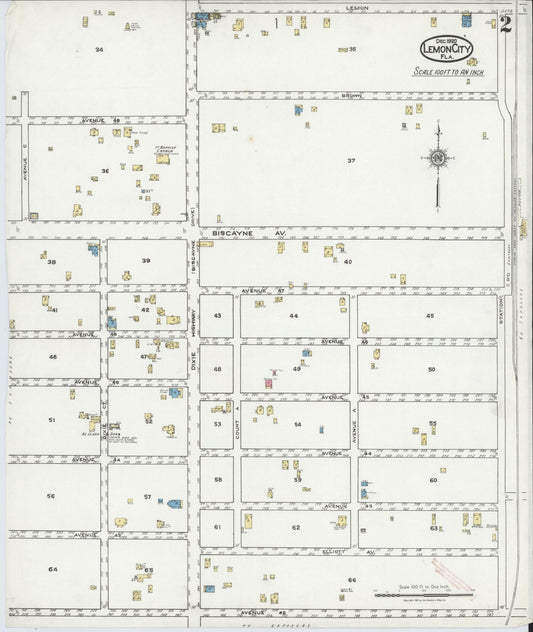 Sanborn Fire Insurance Map from Lemon City, Dade County, Florida (1920), Sheet #0002 - Historic Sanborn Fire Insurance Map Print, vintage old map wall art, antique decor, genealogy gift, Florida Florida map