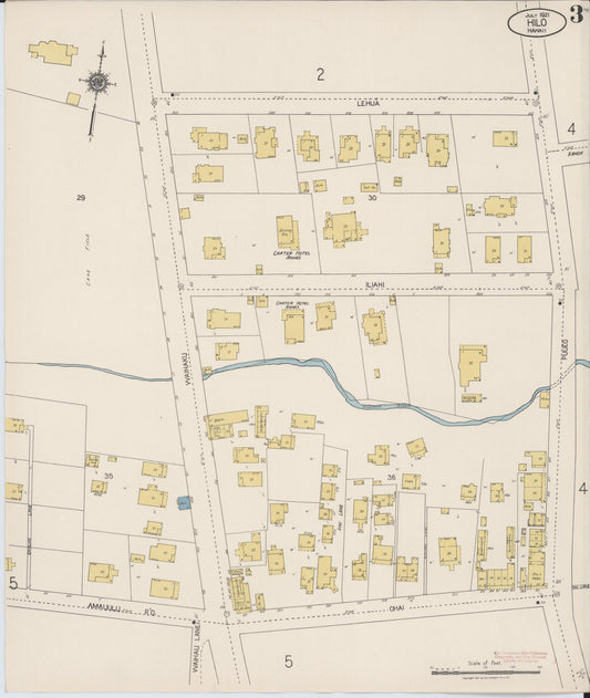 Sanborn Fire Insurance Map from Hilo, Hawaii County, Hawaii (1921), Sheet #0003 - Historic Sanborn Fire Insurance Map Print, vintage old map wall art