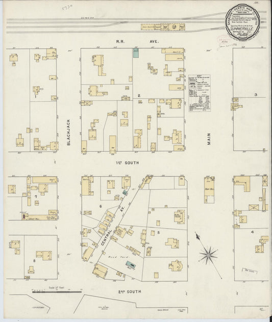 Sanborn Fire Insurance Map from Summerville, Dorchester County, South Carolina (1895), Sheet #0001 - Historic Sanborn Fire Insurance Map Print, vintage old map wall art, antique decor, genealogy gift, South Carolina South Carolina map