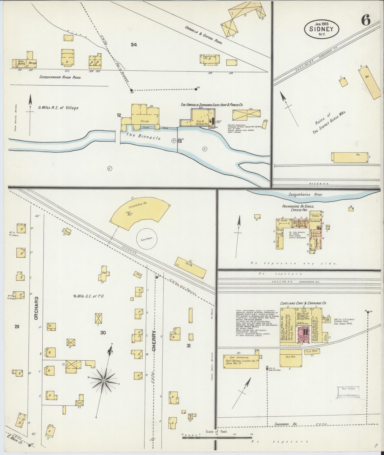 Sanborn Fire Insurance Map from Sidney, Delaware County, New York (1903), Sheet #0006 - Historic Sanborn Fire Insurance Map Print, vintage old map wall art, antique decor, genealogy gift, New York New York map