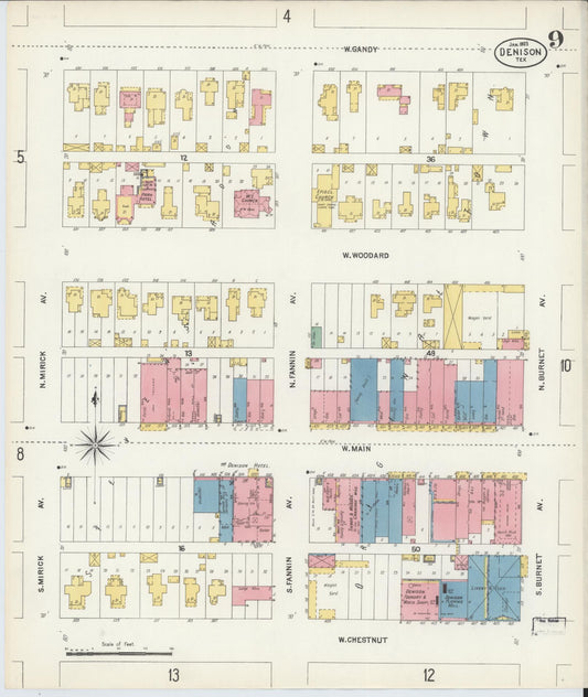 Sanborn Fire Insurance Map from Denison, Grayson County, Texas (1903), Sheet #0009 - Historic Sanborn Fire Insurance Map Print, vintage old map wall art, antique decor, genealogy gift, Texas Texas map