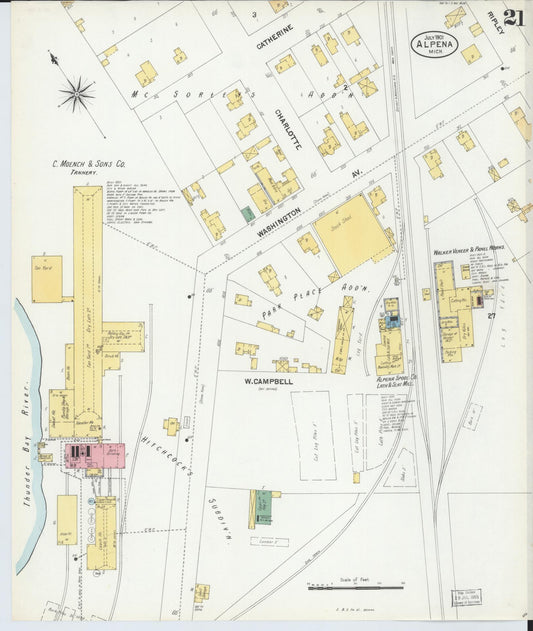 Sanborn Fire Insurance Map from Alpena, Alpena County, Michigan (1901), Sheet #0021 - Historic Sanborn Fire Insurance Map Print, vintage old map wall art, antique decor, genealogy gift, Michigan Michigan map