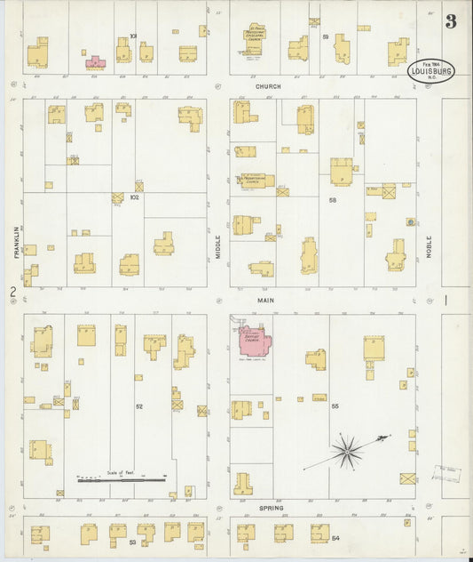 Sanborn Fire Insurance Map from Louisburg, Franklin County, North Carolina (1904), Sheet #0003 - Historic Sanborn Fire Insurance Map Print, vintage old map wall art, antique decor, genealogy gift, North Carolina North Carolina map