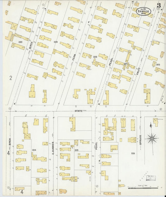 Sanborn Fire Insurance Map from Bangor, Penobscot County, Maine (1901), Sheet #0003 - Historic Sanborn Fire Insurance Map Print, vintage old map wall art, antique decor, genealogy gift, Maine Maine map