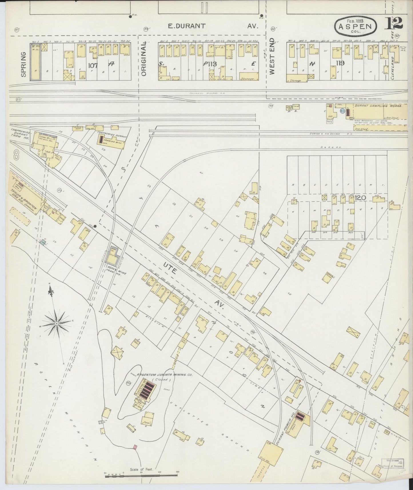 Sanborn Fire Insurance Map from Aspen, Pitkin County, Colorado (1893), Sheet #0012 - Complete Map Set gallery image, historic Sanborn map, vintage wall art, Colorado Colorado