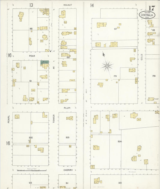 Sanborn Fire Insurance Map from Centralia, Lewis County, Washington (1901), Sheet #0017 - Historic Sanborn Fire Insurance Map Print, vintage old map wall art, antique decor, genealogy gift, Washington Washington map