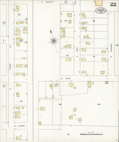 Sanborn Fire Insurance Map from Centralia, Lewis County, Washington (1909), Sheet #0022 - Complete Map Set gallery image, historic Sanborn map, vintage wall art, Washington Washington
