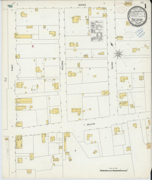 Sanborn Fire Insurance Map from Talihina, Le Flore County, Oklahoma (1899), Sheet #0001 - Historic Sanborn Fire Insurance Map Print, vintage old map wall art, antique decor, genealogy gift, Oklahoma Oklahoma map