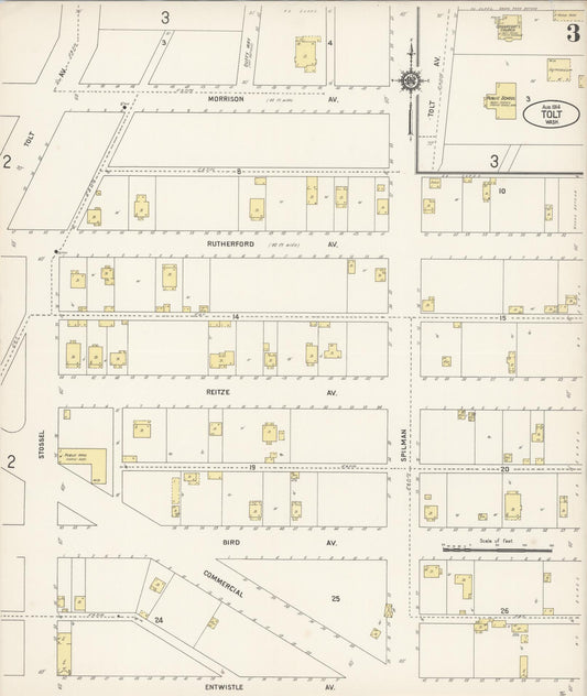 Sanborn Fire Insurance Map from Tolt, King County, Washington (1914), Sheet #0003 - Historic Sanborn Fire Insurance Map Print, vintage old map wall art, antique decor, genealogy gift, Washington Washington map