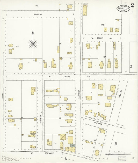 Sanborn Fire Insurance Map from Puyallup, Pierce County, Washington (1909), Sheet #0002 - Historic Sanborn Fire Insurance Map Print, vintage old map wall art, antique decor, genealogy gift, Washington Washington map