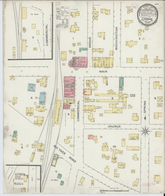 Sanborn Fire Insurance Map from Livonia, Livingston County, New York (1894), Sheet #0001 - Historic Sanborn Fire Insurance Map Print, vintage old map wall art, antique decor, genealogy gift, New York New York map