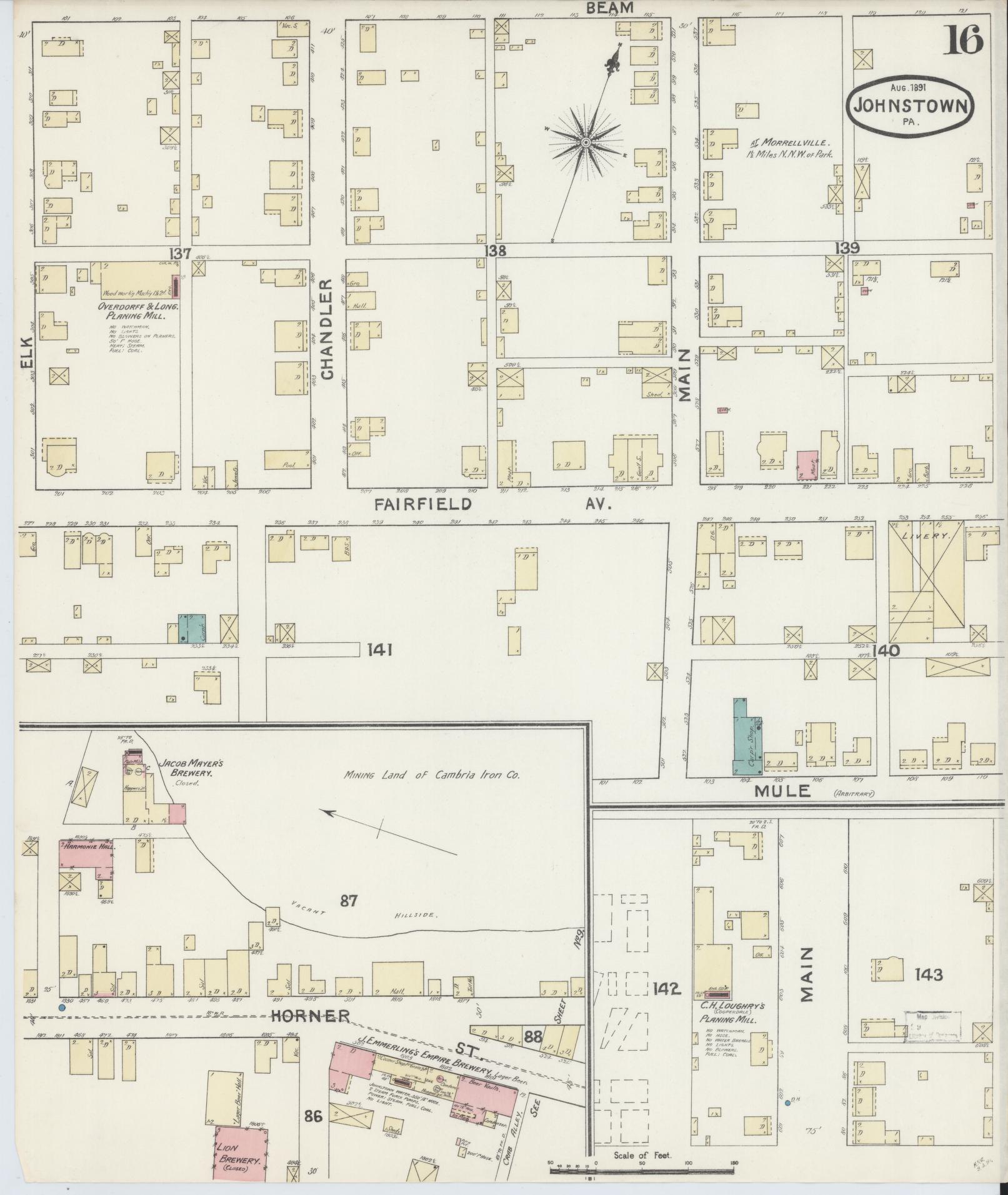Sanborn Fire Insurance Map from Johnstown, Cambria County, Pennsylvania (1891), Sheet #0016 - Historic Sanborn Fire Insurance Map Print, vintage old map wall art, antique decor, genealogy gift, Pennsylvania Pennsylvania map