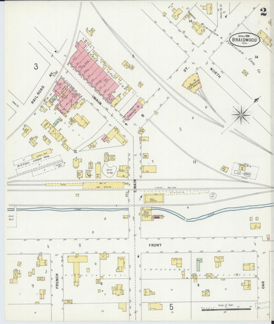 Sanborn Fire Insurance Map from Braidwood, Will County, Illinois (1898), Sheet #0002 - Historic Sanborn Fire Insurance Map Print, vintage old map wall art, antique decor, genealogy gift, Illinois Illinois map