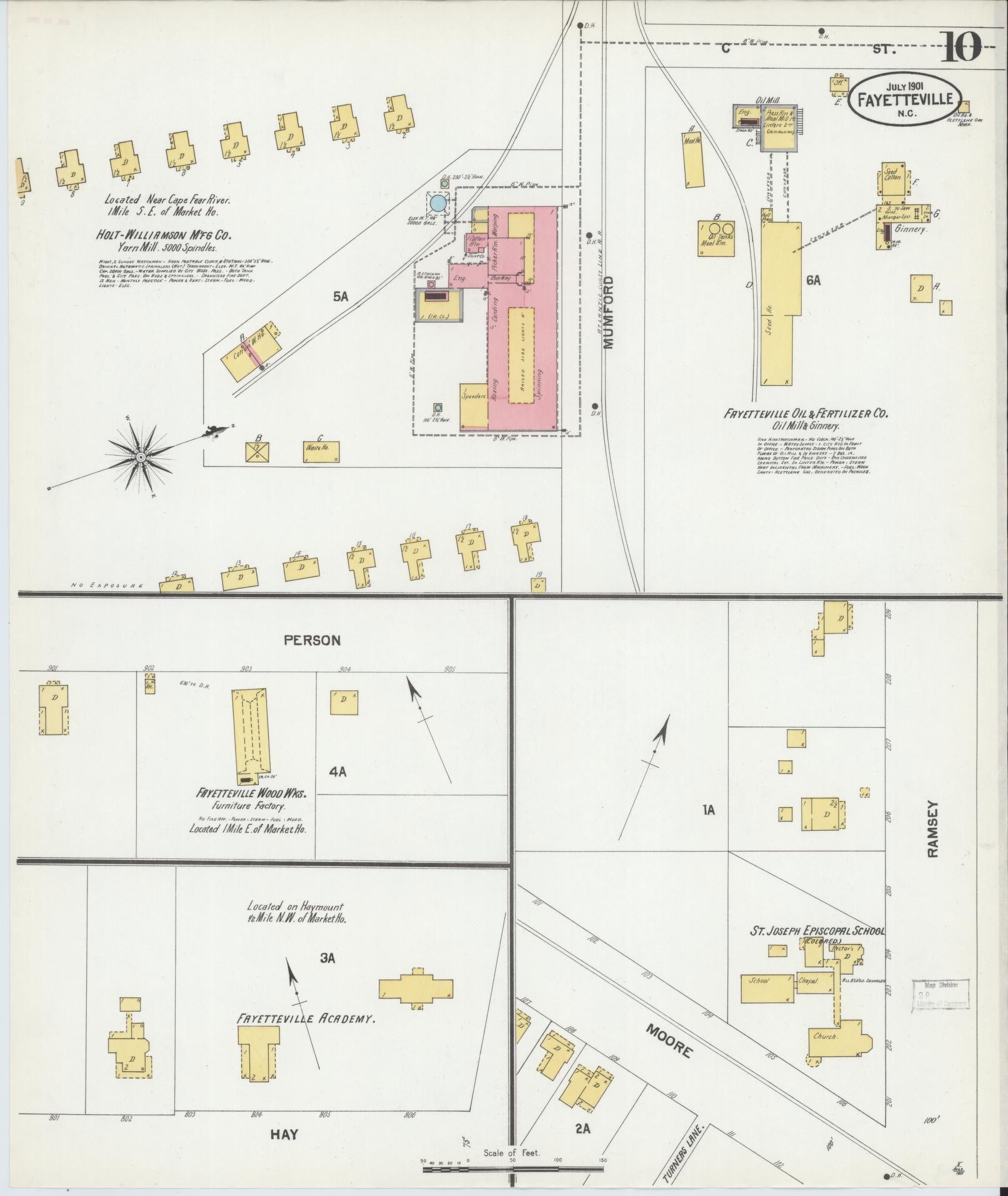 Sanborn Fire Insurance Map from Fayetteville, Cumberland County, North Carolina (1901), Sheet #0010 - Historic Sanborn Fire Insurance Map Print, vintage old map wall art, antique decor, genealogy gift, North Carolina North Carolina map