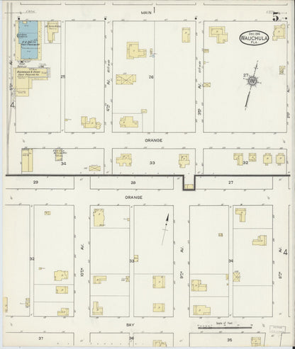Sanborn Fire Insurance Map from Wauchula, Hardee County, Florida (1914), Sheet #0005 - Historic Sanborn Fire Insurance Map Print, vintage old map wall art, antique decor, genealogy gift, Florida Florida map