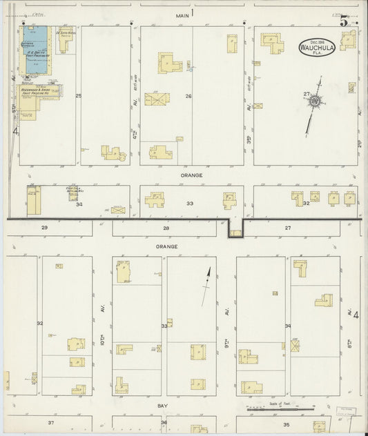 Sanborn Fire Insurance Map from Wauchula, Hardee County, Florida (1914), Sheet #0005 - Historic Sanborn Fire Insurance Map Print, vintage old map wall art, antique decor, genealogy gift, Florida Florida map