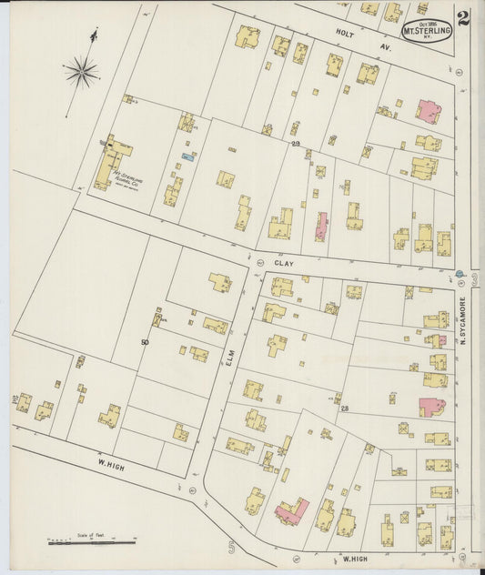 Sanborn Fire Insurance Map from Mount Sterling, Montgomery County, Kentucky (1895), Sheet #0002 - Historic Sanborn Fire Insurance Map Print, vintage old map wall art, antique decor, genealogy gift, Kentucky Kentucky map