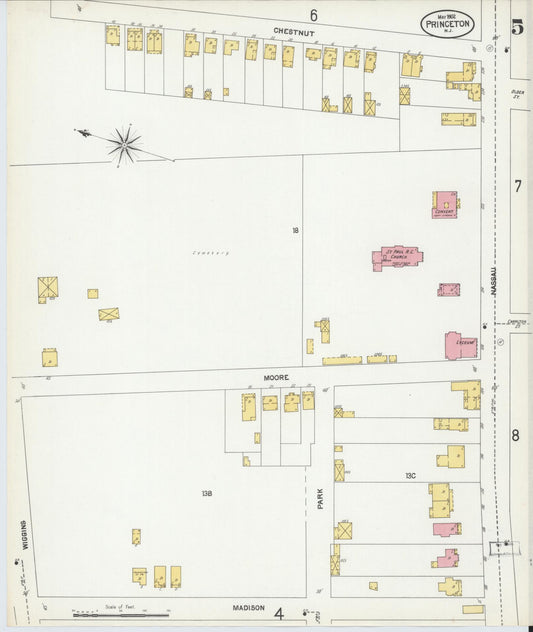 Sanborn Fire Insurance Map from Princeton, Mercer County, New Jersey (1902), Sheet #0005 - Historic Sanborn Fire Insurance Map Print, vintage old map wall art, antique decor, genealogy gift, New Jersey New Jersey map