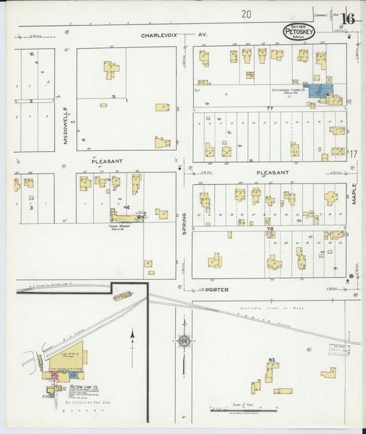 Sanborn Fire Insurance Map from Petoskey, Emmet County, Michigan (1919), Sheet #0016 - Historic Sanborn Fire Insurance Map Print, vintage old map wall art, antique decor, genealogy gift, Michigan Michigan map