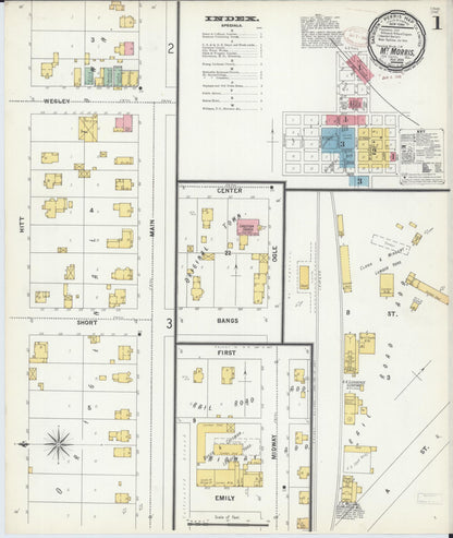 Sanborn Fire Insurance Map from Mount Morris, Ogle County, Illinois (1893), Sheet #0001 - Historic Sanborn Fire Insurance Map Print, vintage old map wall art, antique decor, genealogy gift, Illinois Illinois map