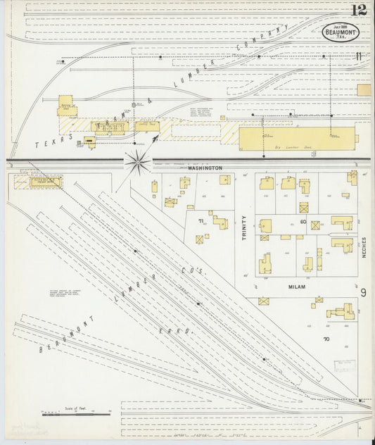 Sanborn Fire Insurance Map from Beaumont, Jefferson County, Texas (1899), Sheet #0012 - Historic Sanborn Fire Insurance Map Print, vintage old map wall art, antique decor, genealogy gift, Texas Texas map